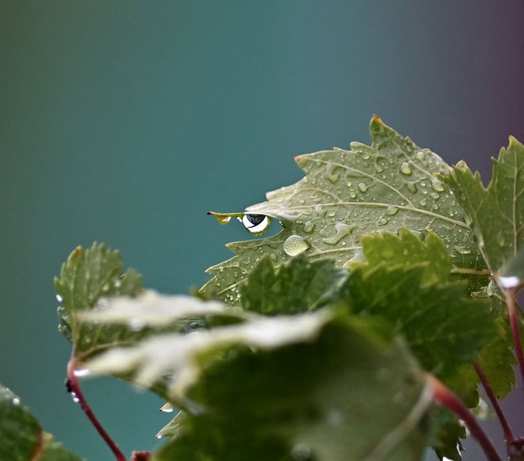 The Weather on September 30