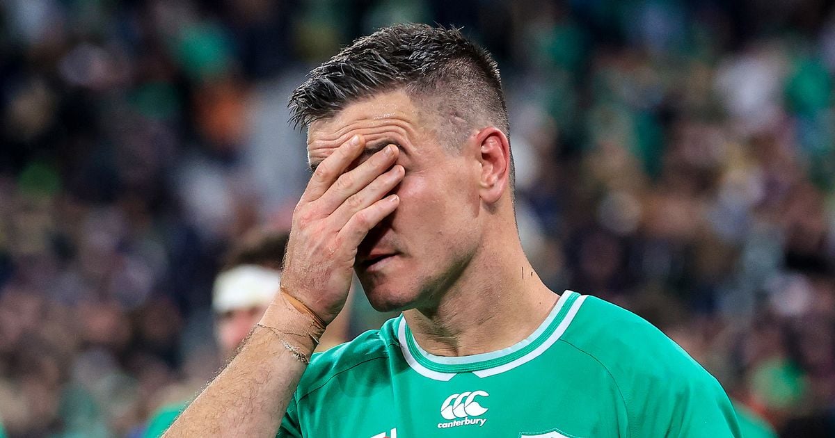 Johnny Sexton believes Wayne Barnes got last Rugby World Cup quarter-final call wrong