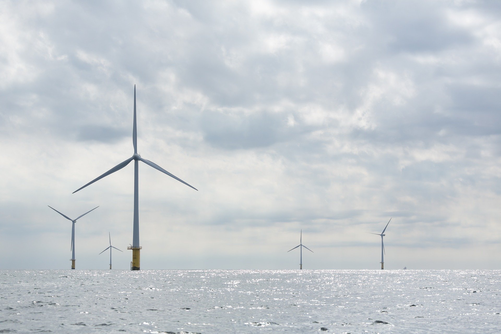 More than half of Dutch electricity comes from renewables