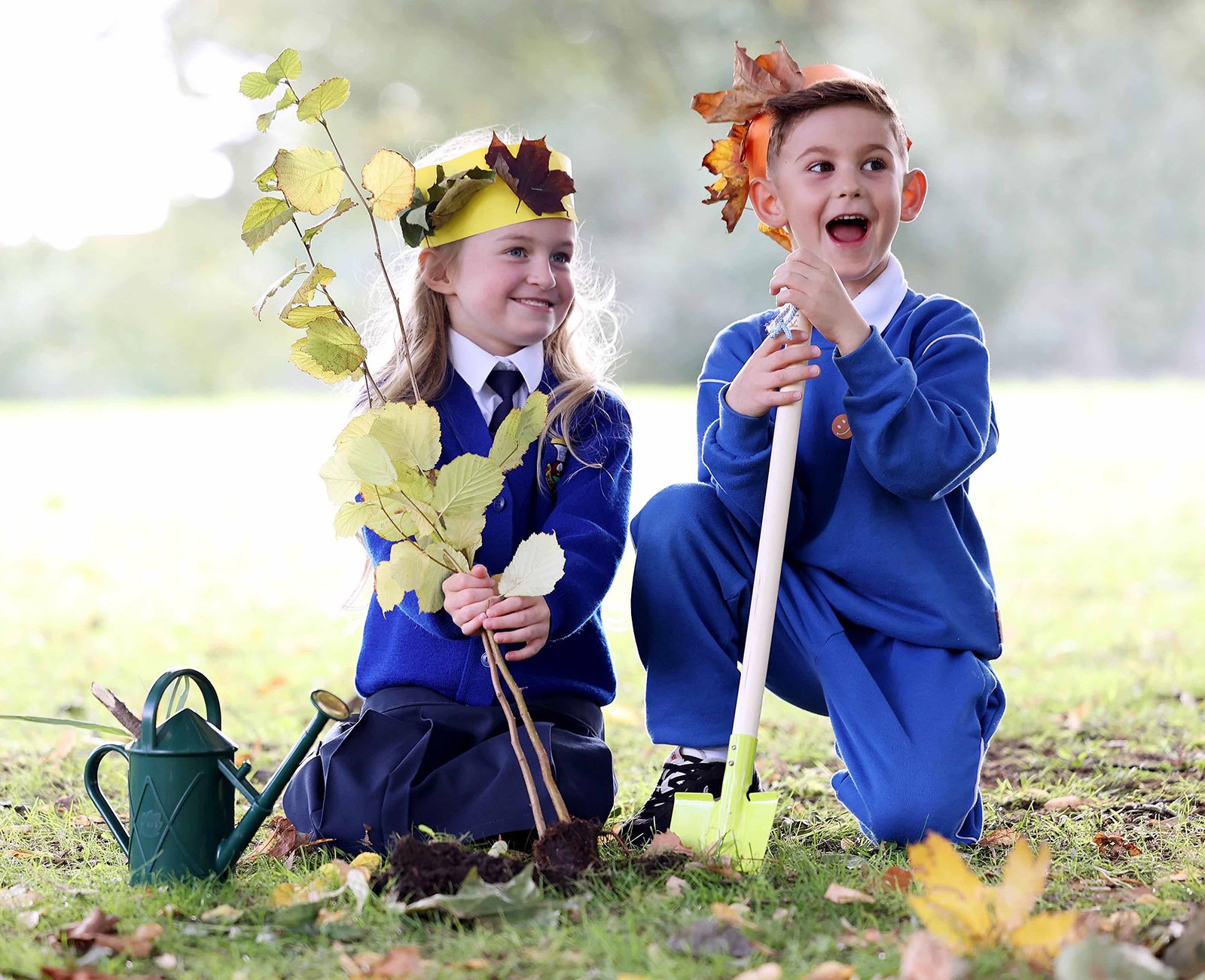 Primary schools invited to discover the magic of trees