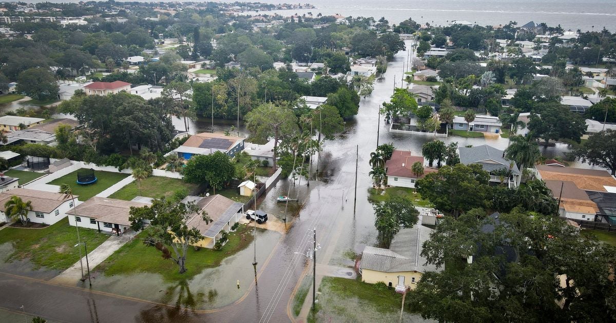 Irish pensioner, 71, killed after Hurricane Helene rips through Florida 