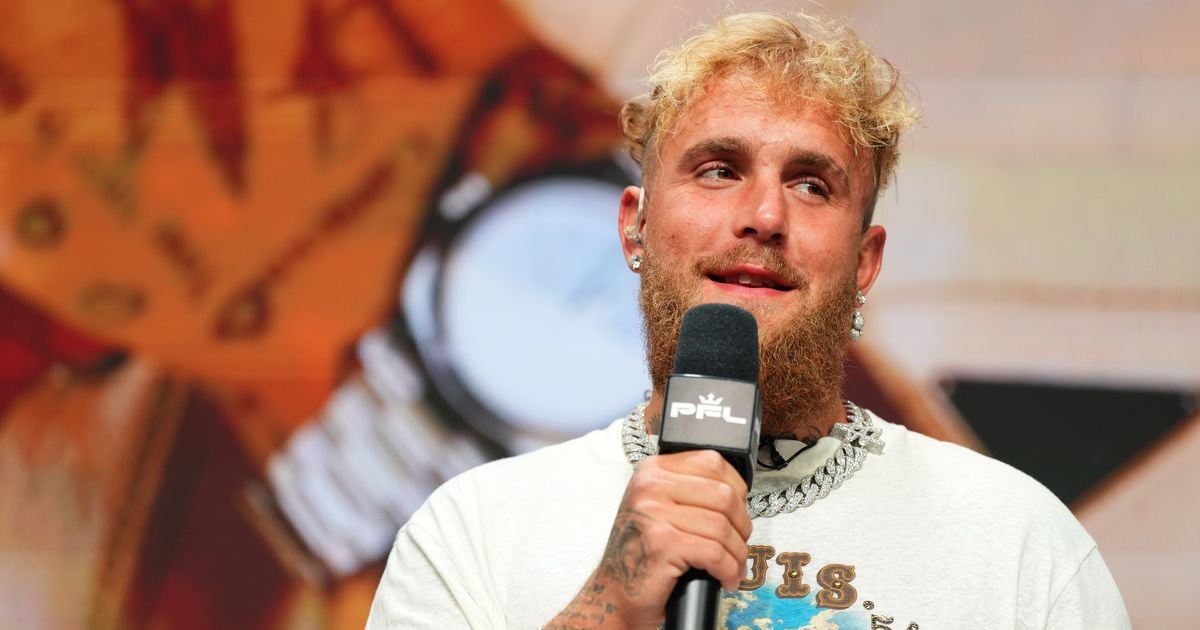 Jake Paul says he would 'destroy' Conor McGregor 'in the ring or the cage'