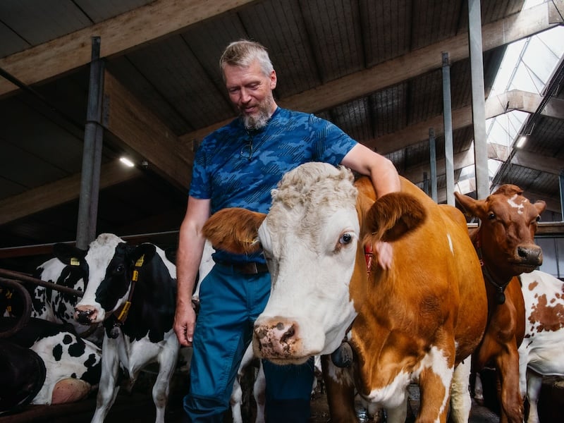 Finnish livestock farming leads the way in sustainability efforts