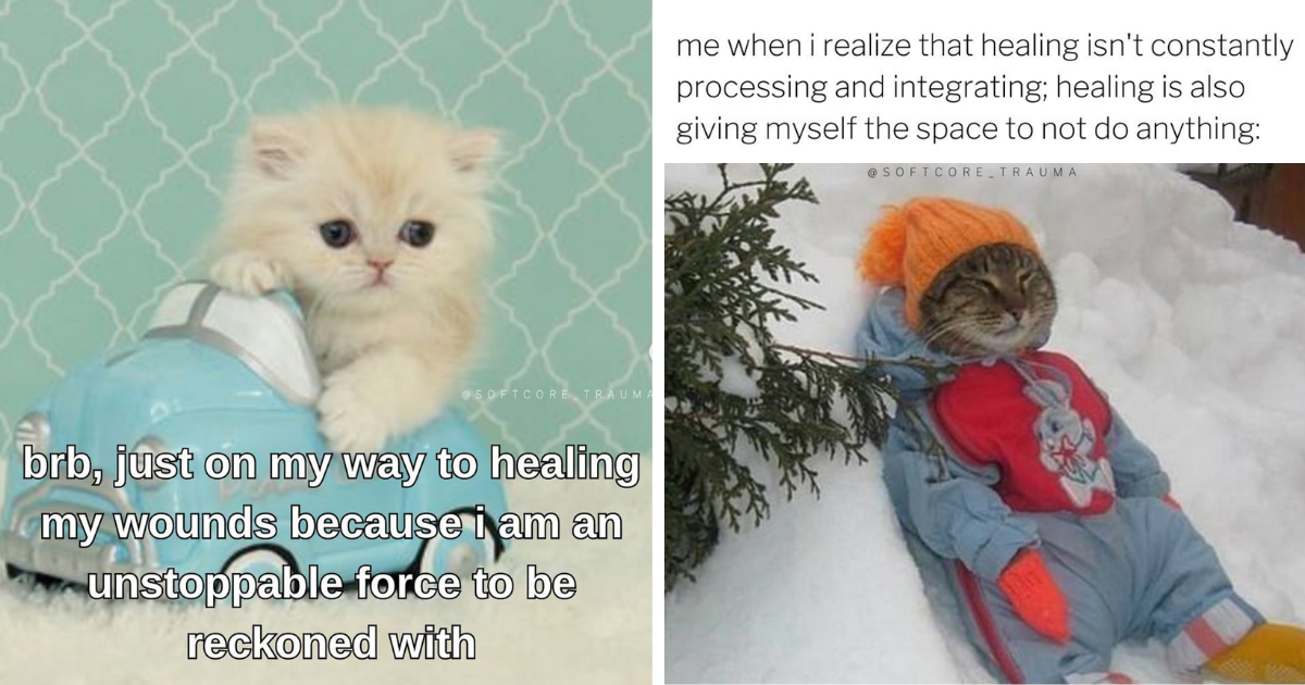 24 Heartwarming Cat Memes for Healing Hooman Souls Who Need A Pawful of Adorable Emeowtional Support