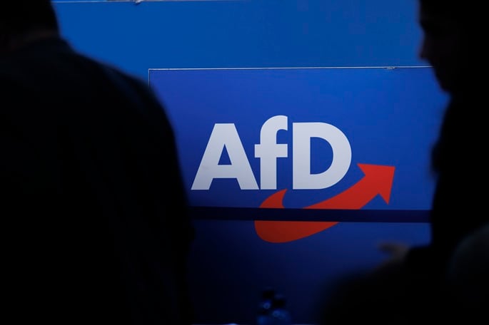 Some German MPs considering case to ban far-right AfD