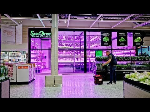 Meet SweGreen: This Swedish vertical farm start-up grows vegetables inside of supermarkets