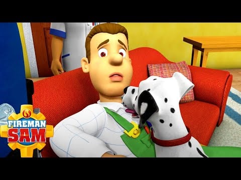 Fireman Sam&#39;s Animal Friends! | Fireman Sam Official | Cartoons for Kids