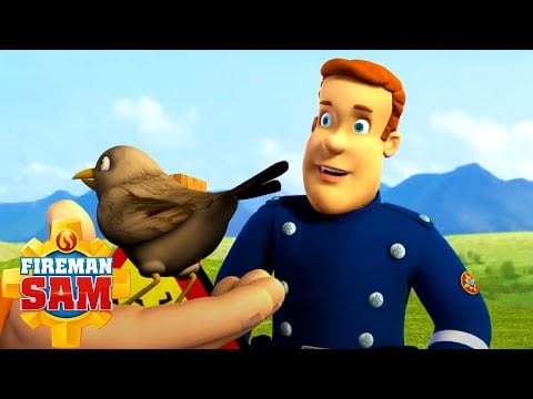 Animal rescues! | Fireman Sam Official | Cartoons for Kids