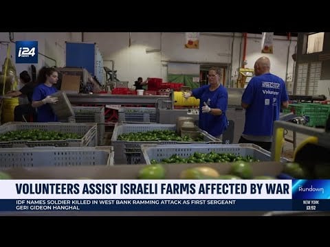 Volunteers help Israeli farms affected by multi-front war