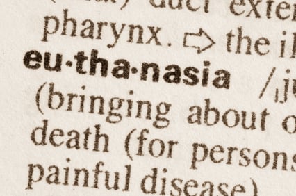 Psychiatrists rebuked for criticising euthanasia of 17-year-old