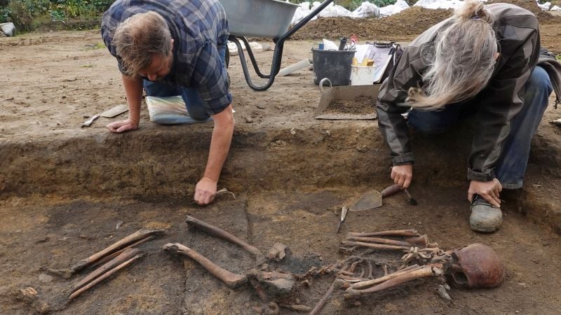 Archaeologists unearth more than 50 Viking skeletons at huge burial site