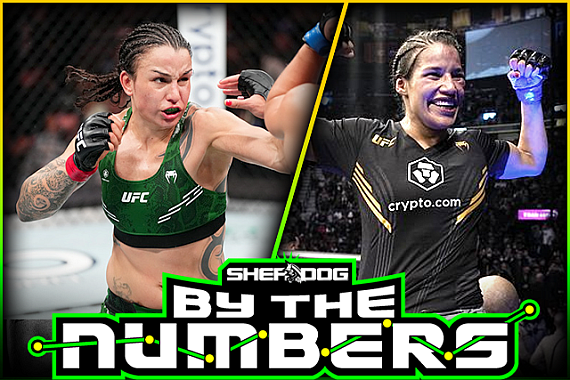 By The Numbers: Raquel Pennington vs. Julianna Pena