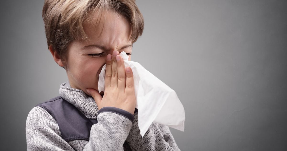 Expert explains why everyone has a blocked nose and cough at the moment