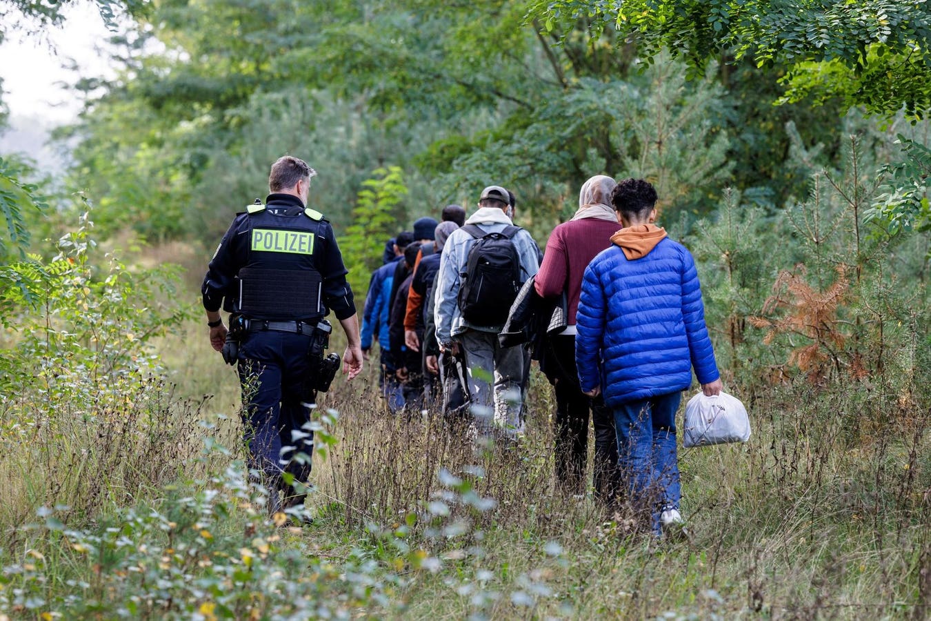 German Expert Group Expresses Alarm Over Border Restrictions