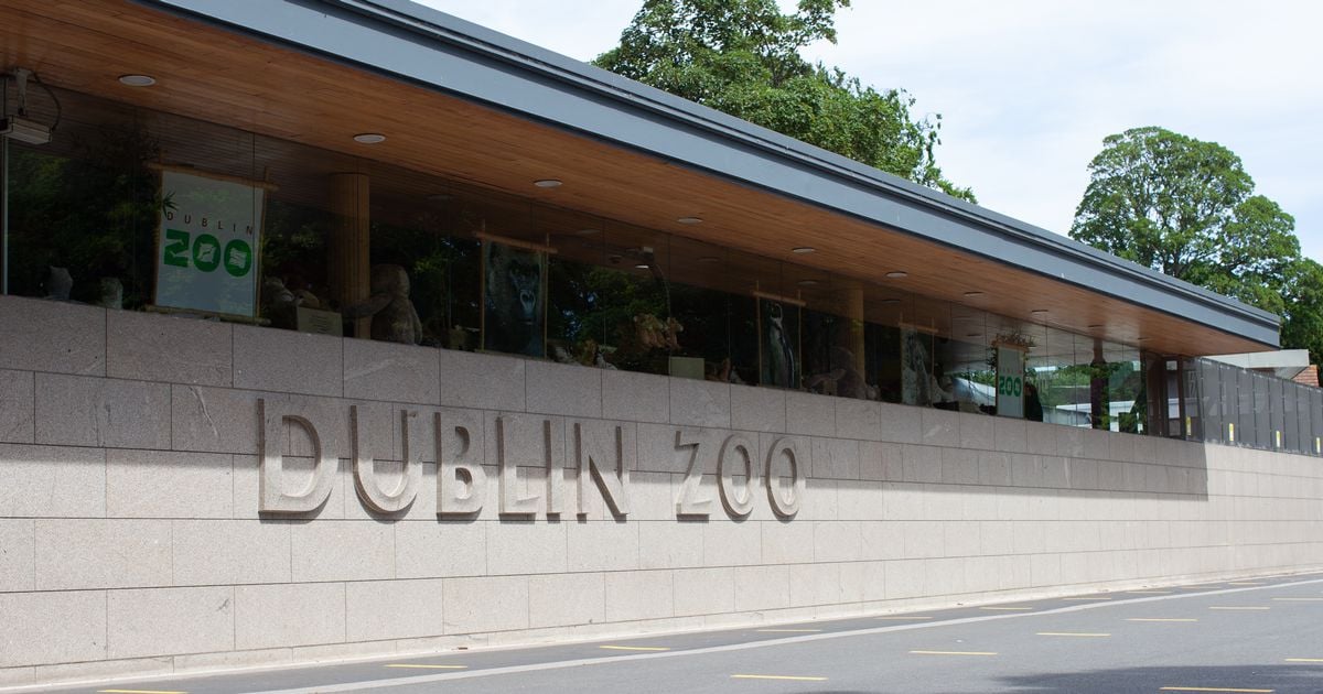 Dublin Zoo announces FREE tickets for a limited time - but there's one important catch