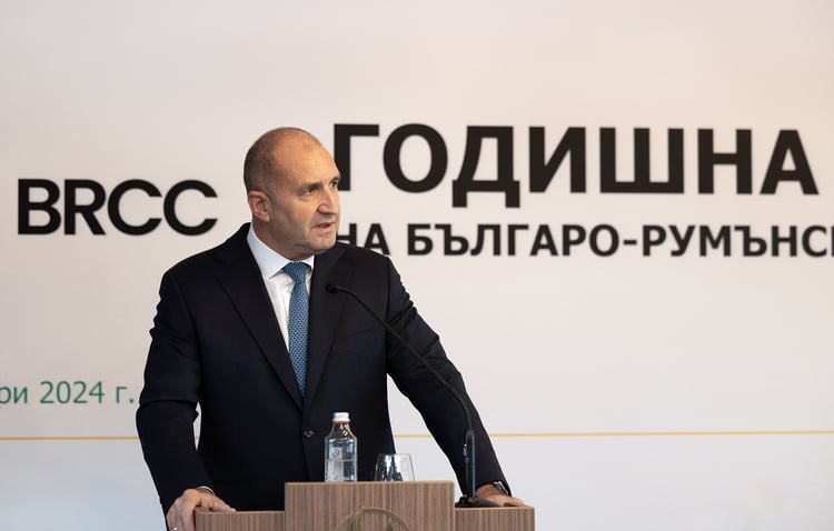 President Radev Meets with Representatives of Bulgarian, Romanian Businesses