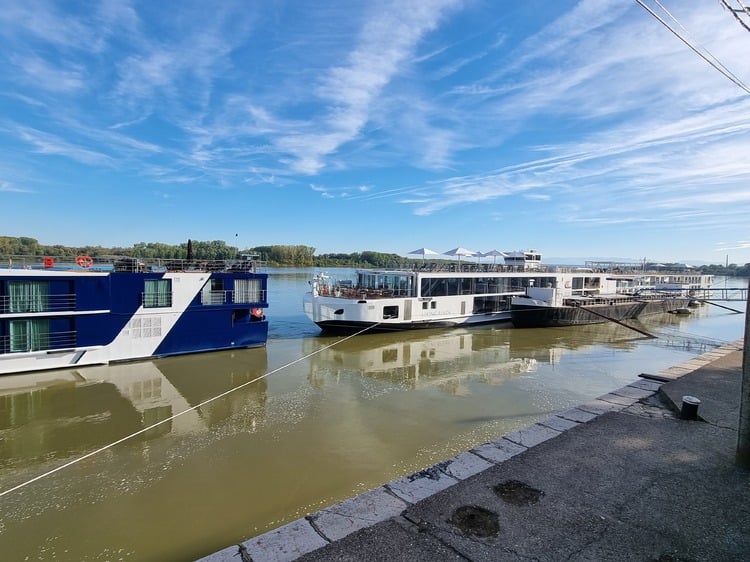 265 Cruise Ships Bring Thousands of Tourists to Vidin and Belogradchik Fortresses