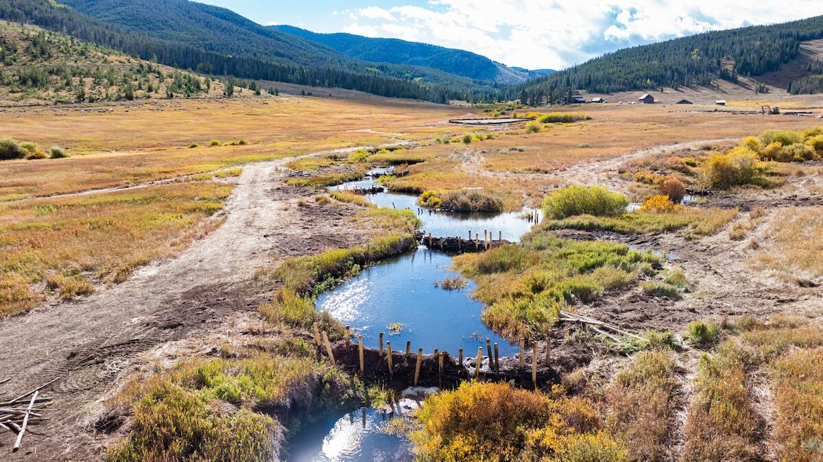 The Coolest Way to Help Protect Your Favorite Outdoor Spaces? Build Beaver Dams.