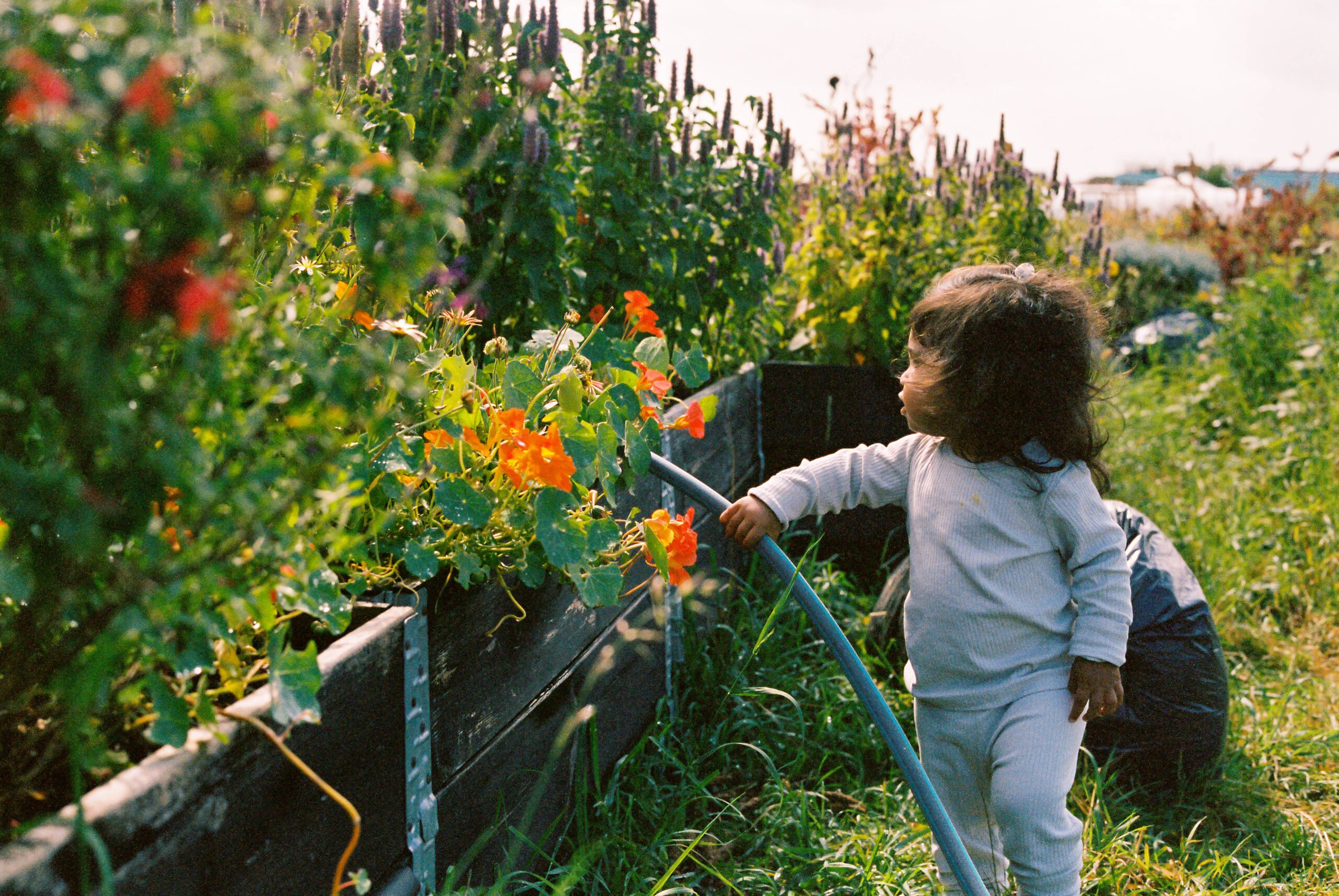 Photo story: Slow travel in Copenhagen