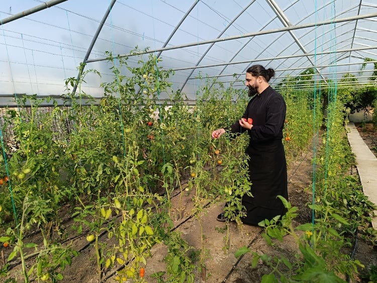 Hieromonk Dimitrie Plans to Establish Romania's First Phytotherapy Clinic