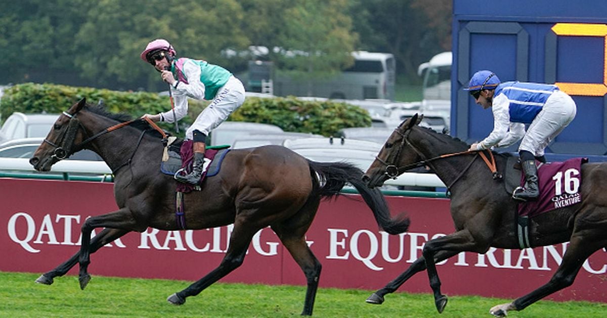 Galway jockey scoops Europe's biggest race as Bluestocking triumphs at Longchamp