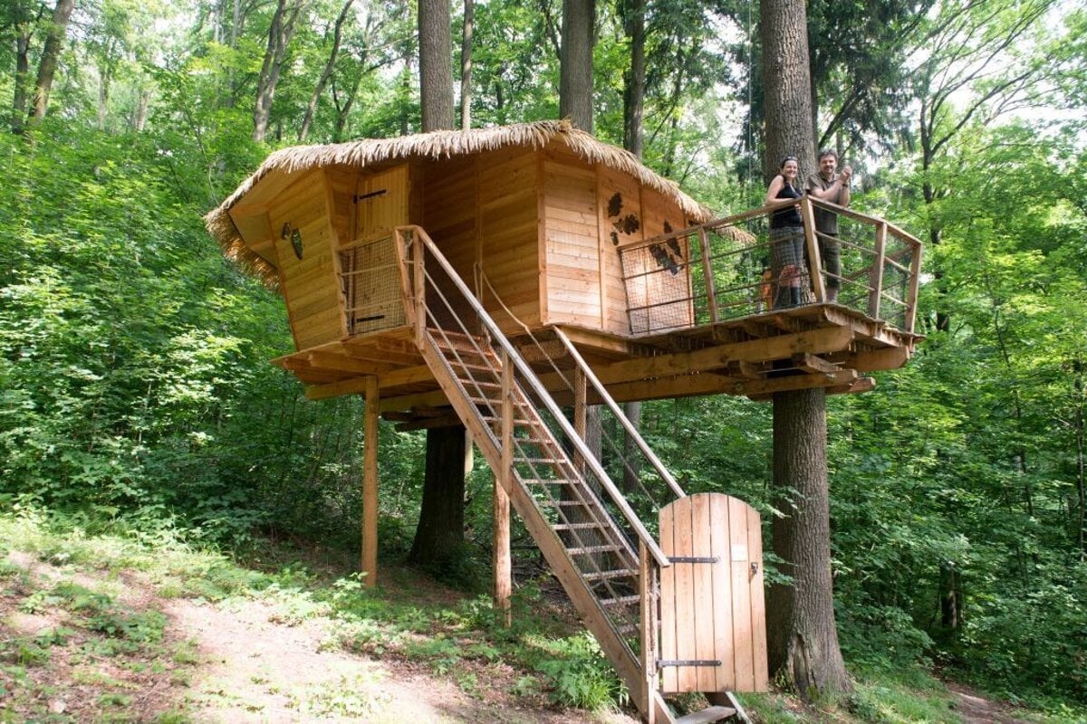 Bratislava lures tourists to a treehouse stay in its popular city park