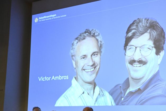 Nobel Prize in medicine awarded to two Americans over discovery of microRNA