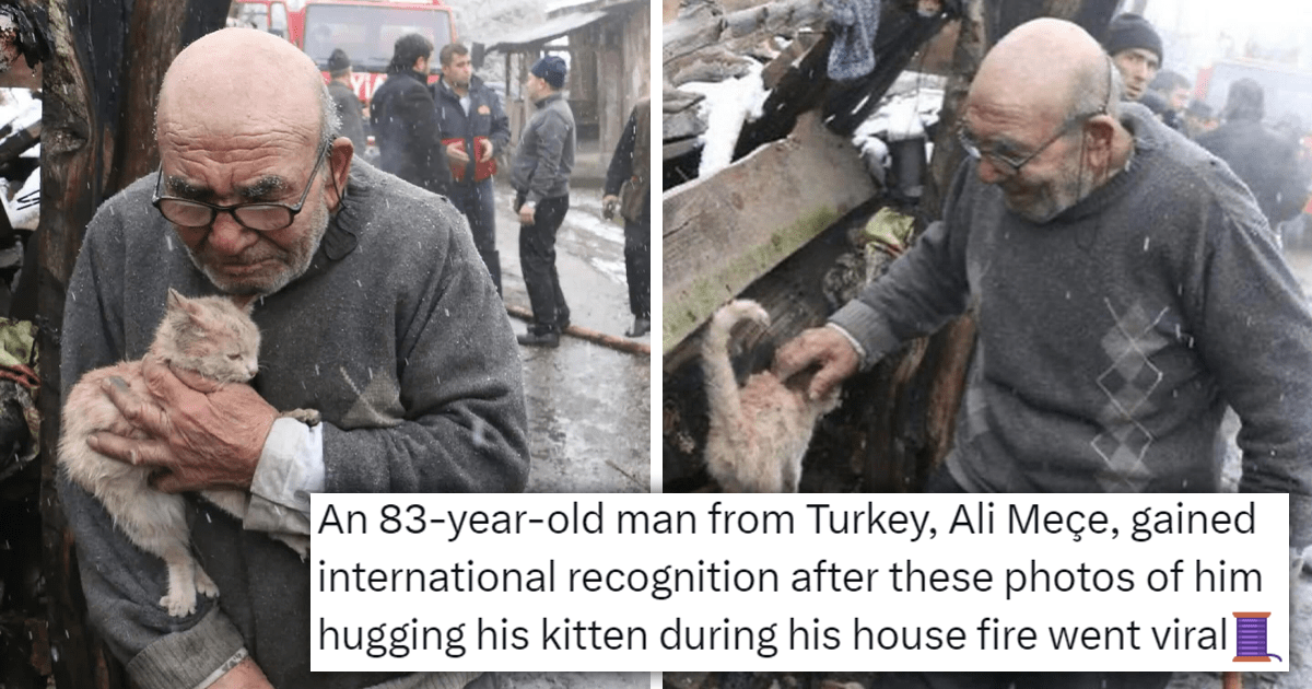 Man Loses Everything in a Fire but Saves His Kitten in One of the Most Heartwarming Stories of the Week