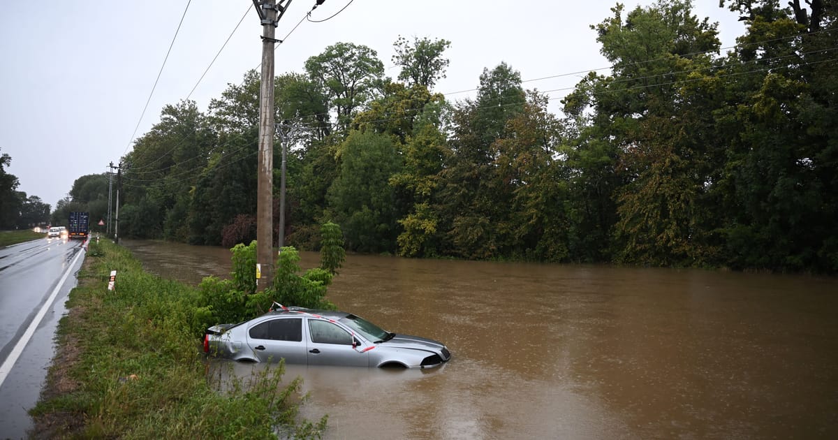 Around 1,000 vehicles damaged in floods -experts warn some could surface in used car sales