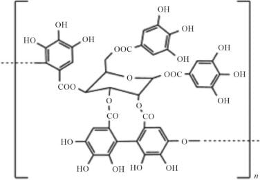 Review explores chestnut tannin's role in bioeconomy