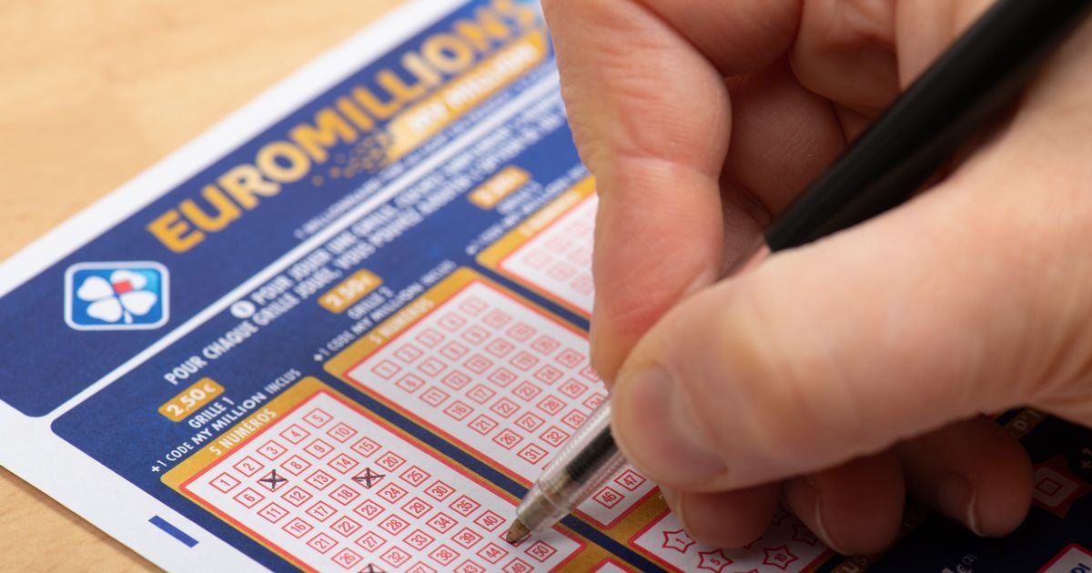 EuroMillions results: Irish player wins life-changing prize as ticket location revealed