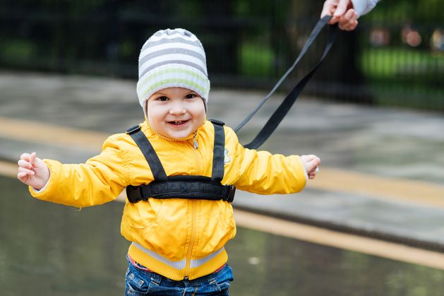 Should you leash your child? Expert advice on using reins for babies and toddlers