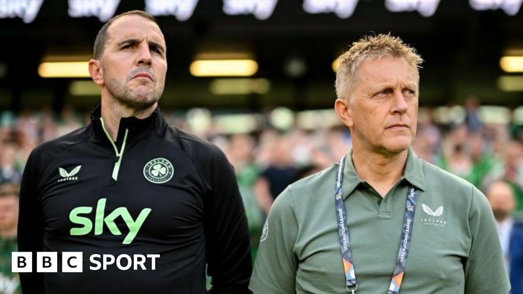 'Clear' Hallgrimsson leading Republic of Ireland - O'Shea