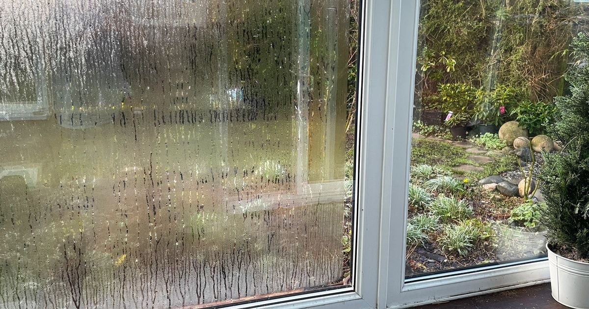 Banish condensation on windows with 'wonder' hack involving a household staple