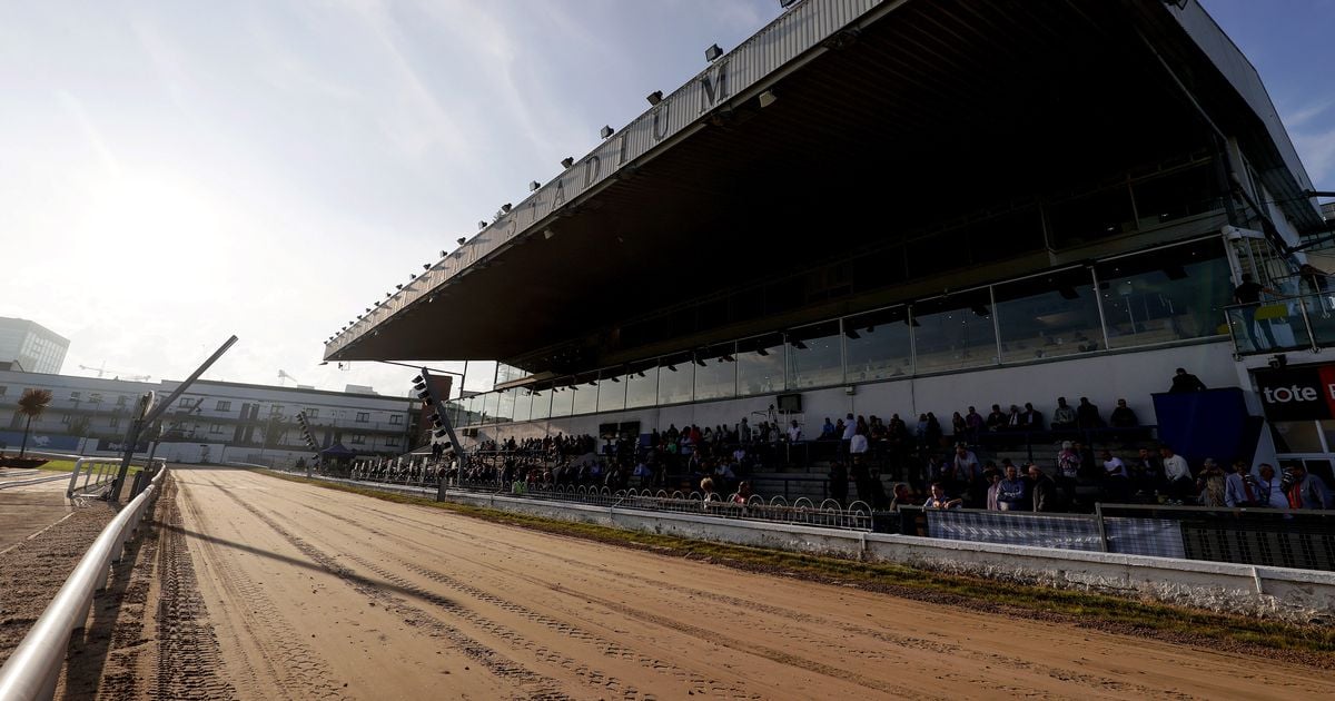 All Roads Lead To Shelbourne Park as greyhound season heats up