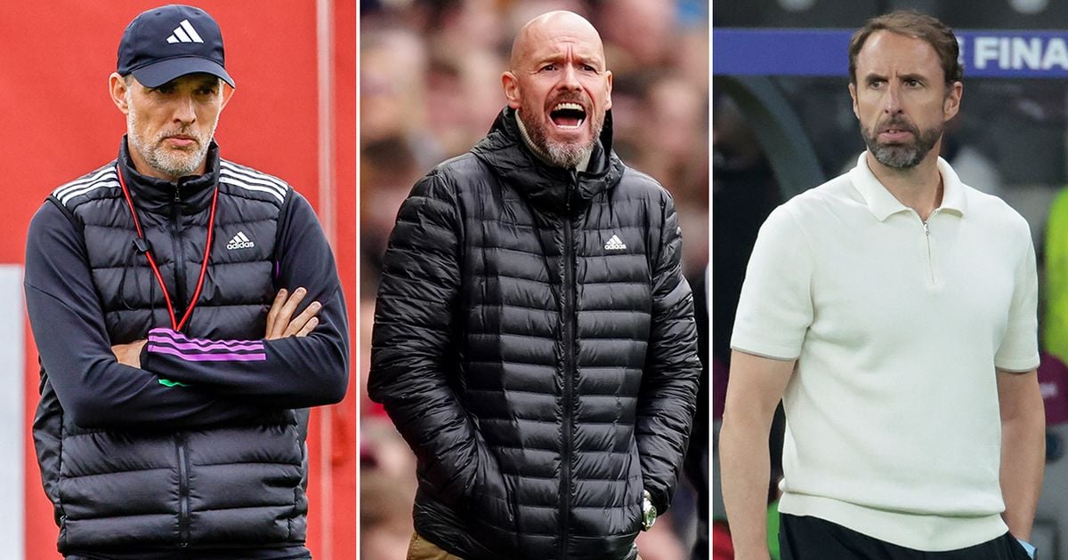 Man Utd's remaining five Erik ten Hag replacement options after Gareth Southgate claim