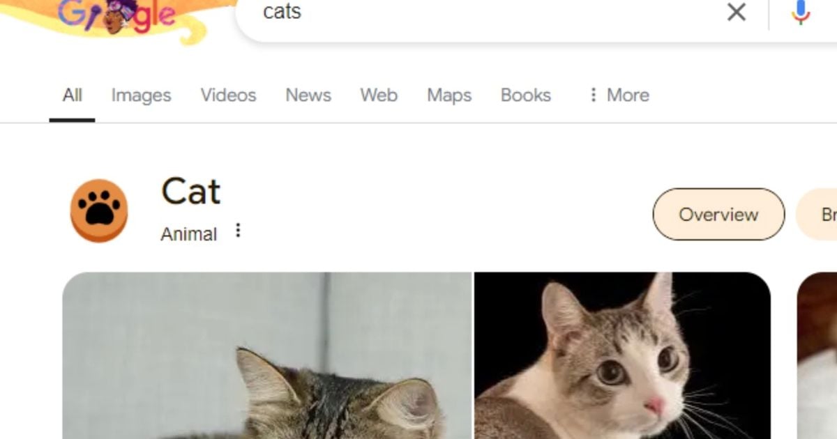 Google hides 'adorable' Easter egg for users searching for cats and dogs