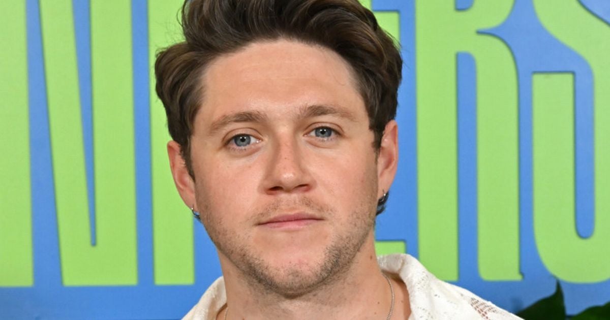 One Direction's Niall Horan abruptly announces he is stepping back from limelight