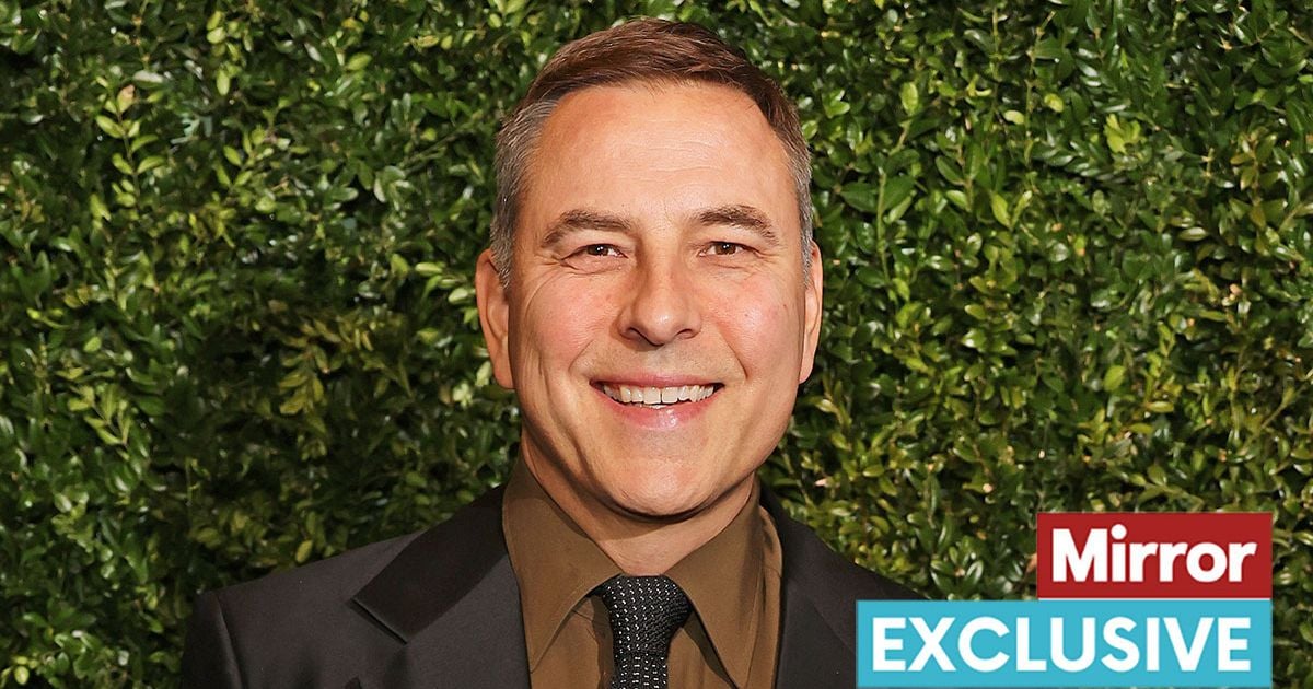 David Walliams finally breaks silence on rumoured romance with world-famous soap star