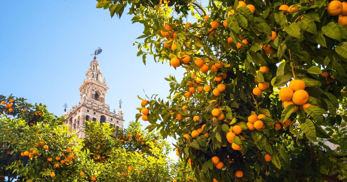 I took my 80-year-old mom to Spain, her first trip in years