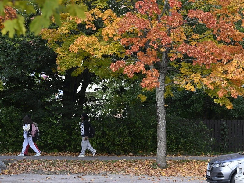 Autumn storm could reach Southern Finland on Wednesday