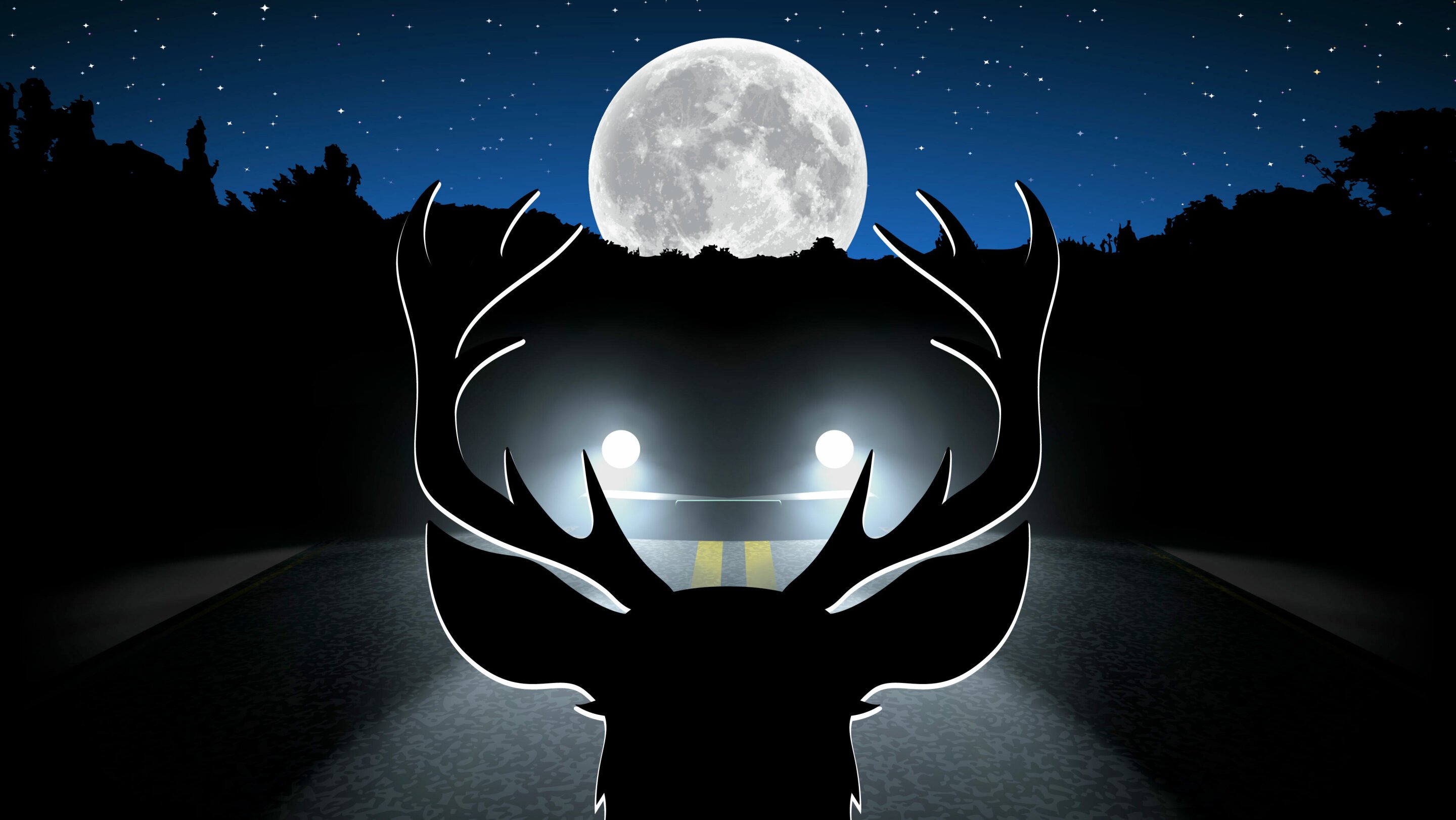 Full moon hazard: 50% rise in wildlife vehicle collisions during moonlit nights