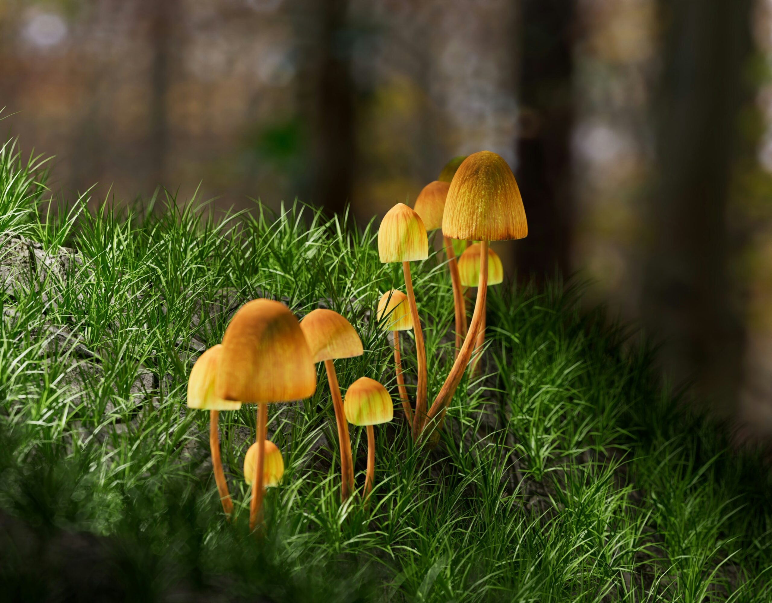 Hallucinogenic mushrooms are better at treating depression than conventional medicine, European study suggests