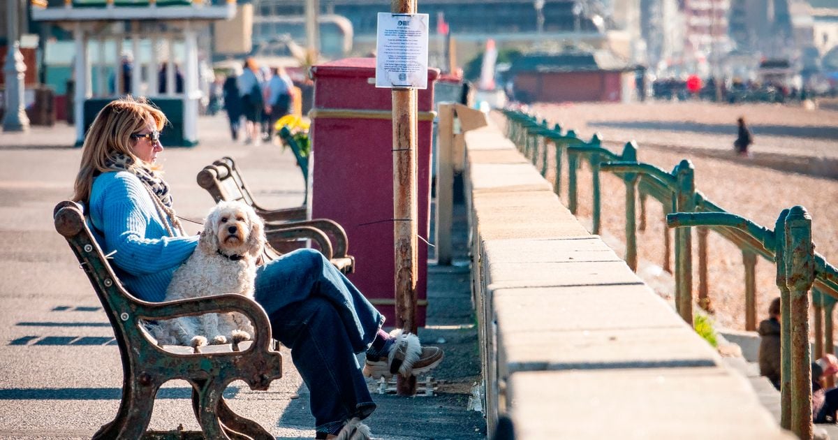 Ireland 'Indian summer' weather verdict as Met Eireann updates forecast with major change incoming