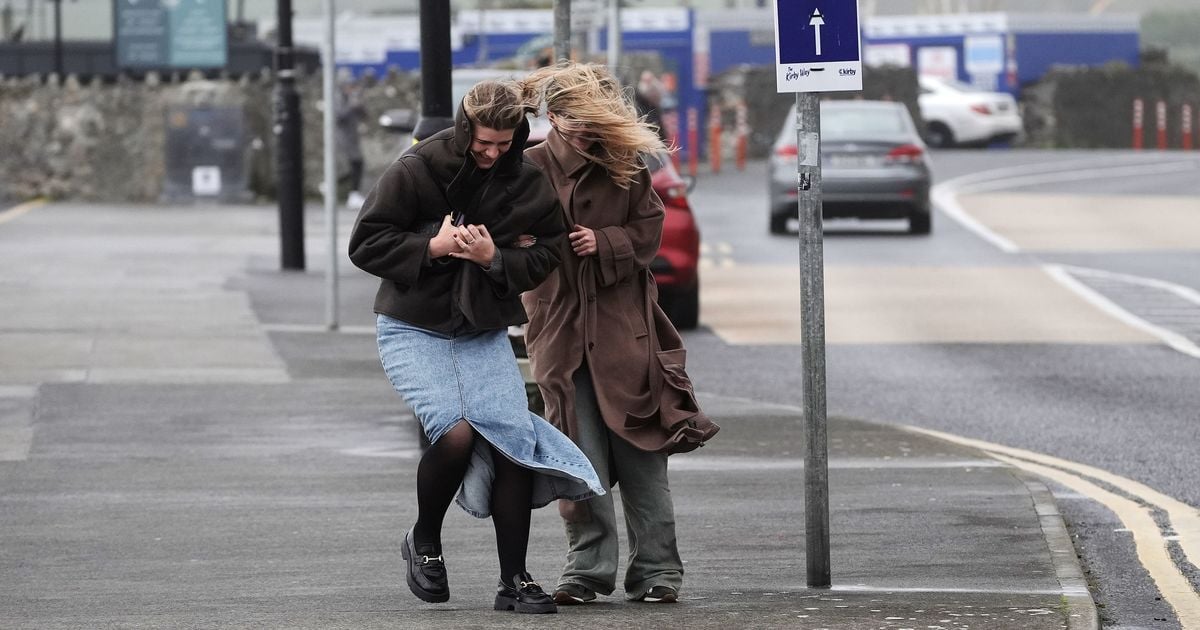 Storm Ashley: Met Eireann issues rare 6 word warning as wave 4 times height of double-decker bus recorded