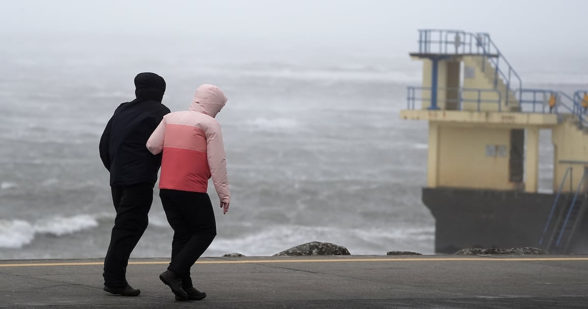 Storm Ashley causes havoc across island as winds down trees and knock out electricity to thousands of homes