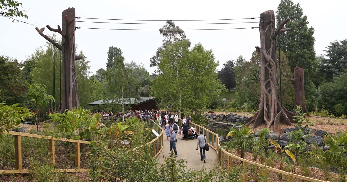 Dublin Zoo: How to get FREE tickets this Halloween as attraction announces special deal