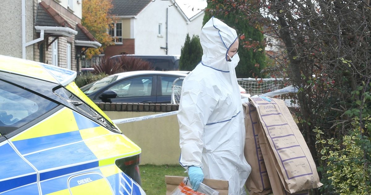 Separate murder investigations underway after Bank Holiday weekend killings