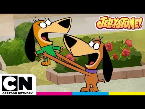 How Many Augie Doggie&#39;s?! | Jellystone | @cartoonnetworkuk