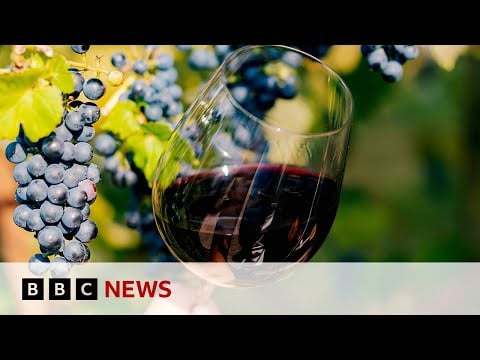 How is Scandinavia growing its wine industry? | BBC News